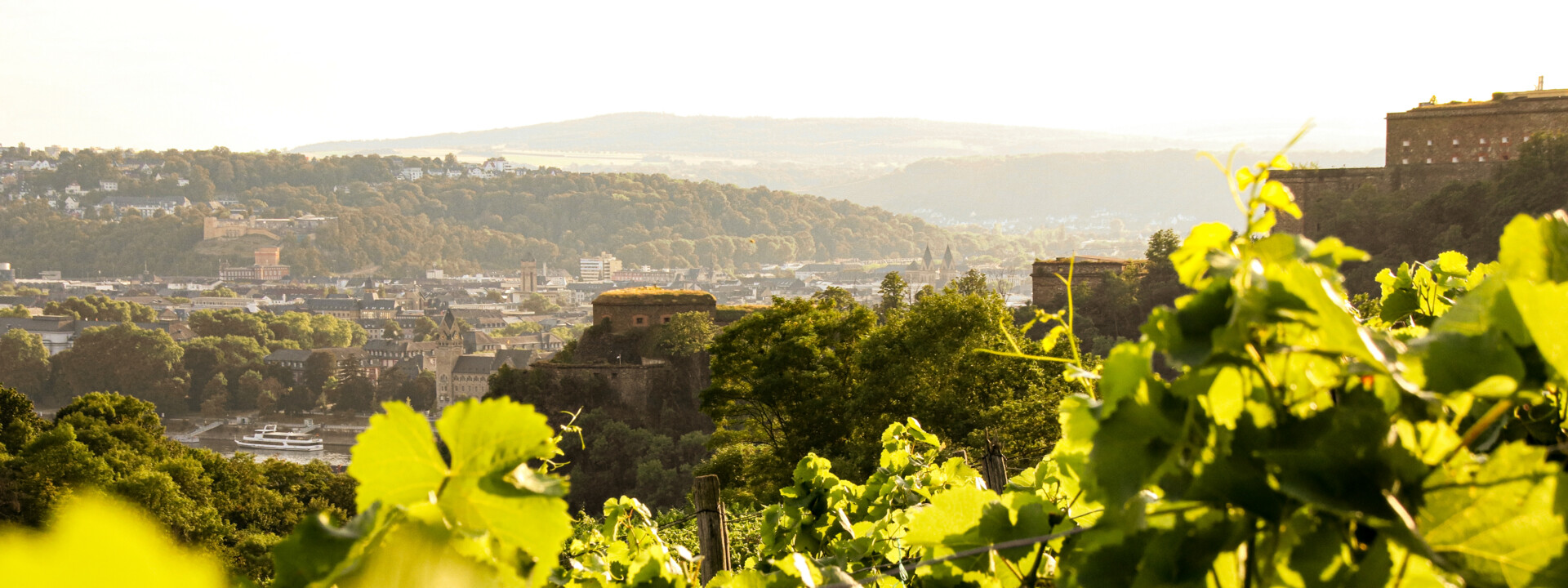 Weinberg Festung Ehrenbreitstein  © Koblenz-Touristik GmbH  Blick über die Weinberge in Ehrenbreitstein auf die Festung Ehrenbreitstein  © Koblenz-Touristik GmbH