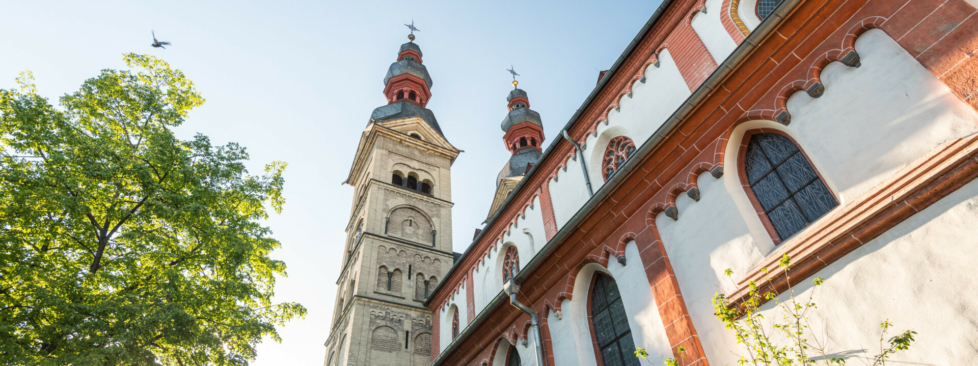 Blick auf die Liebfrauenkirche mit Sonnenstrahlen hinter einem nebenstehenden Baum © Koblenz-Touristik GmbH, Dominik Ketz