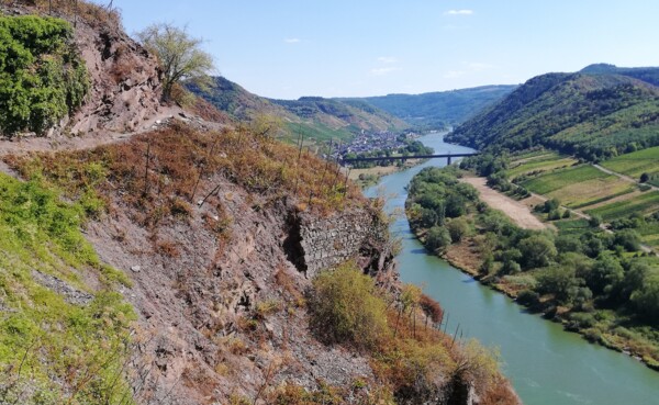 Calmont Klettersteig © Koblenz-Touristik, Katharina Röper  Schmaler Pfad an einem steilen Hang in den Weinbergen mit Blick auf die Mosel, grüne Hügel und eine kleine Ortschaft im Hintergrund  © Koblenz-Touristik, Katharina Röper