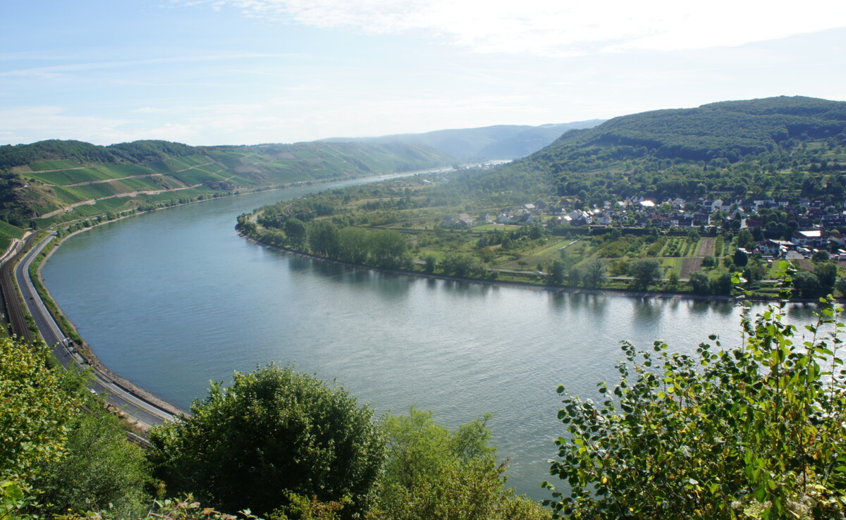 Ausblick Mosel ©  Ausblick auf die Mosel mit Weinbergen und Bahngleisen ©