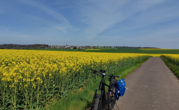 © Tourist-Information Hunsrück Fahrradweg im Hunsrück mit Fahrrad umgeben von Rapsfeldern unter blauem Himmel © Tourist-Information Hunsrück