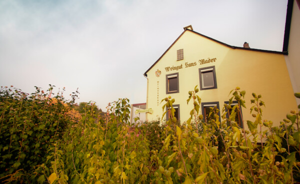 Aussenansicht vom Weingut Hans Mader mit Hopfenpflanzen im Vordergrund © Fotografenklasse der Julius-Wegeler-Schule, Helmut Aussenansicht vom Weingut Hans Mader mit Hopfenpflanzen im Vordergrund © Fotografenklasse der Julius-Wegeler-Schule, Helmut