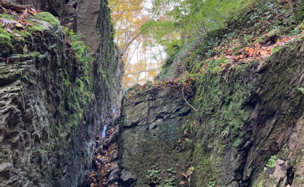 Kluft zwischen zwei steilen Berghängen im Wald mit einem Bach © Stadt Lahnstein