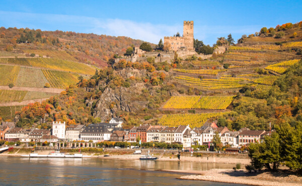 Burg Gutenfels in Kaub am Rhein, mit herbstlichen Weinbergen im HIntergrund © Johannes Bruchhof