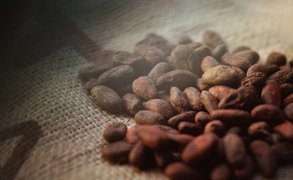 Cacaobonen © Philip Bruederle  Cacaobonen uit Cahua © Philip Bruederle