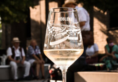 Glass of white wine is in the foreground during the tour Wine Walks © Koblenz-Touristik GmbH, Johannes Bruchhof