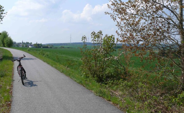 © TI Hunsrück-Mittelrhein Fahrrad steht auf einem Fahrradweg neben einem grünen Weld mit Weitblick © TI Hunsrück-Mittelrhein