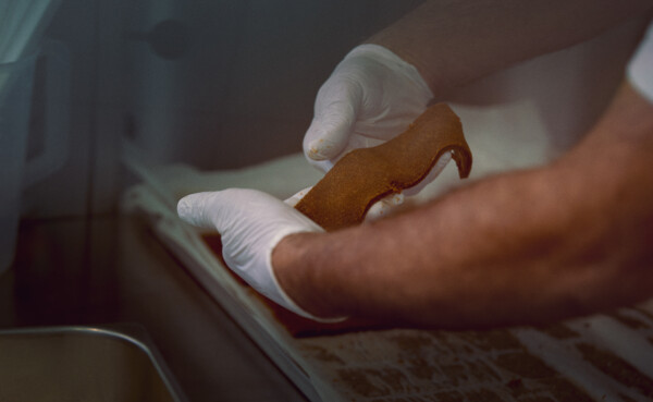 IJs van eGeLoSIa wordt bereid © Philip Bruederle IJs van eGeLoSIa wordt bereid © Philip Bruederle