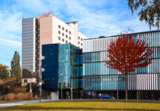 Rhein-Mosel-halle von der Vorderseite mit rotem Baum auf dem Rasen © Johannes Bruchhof