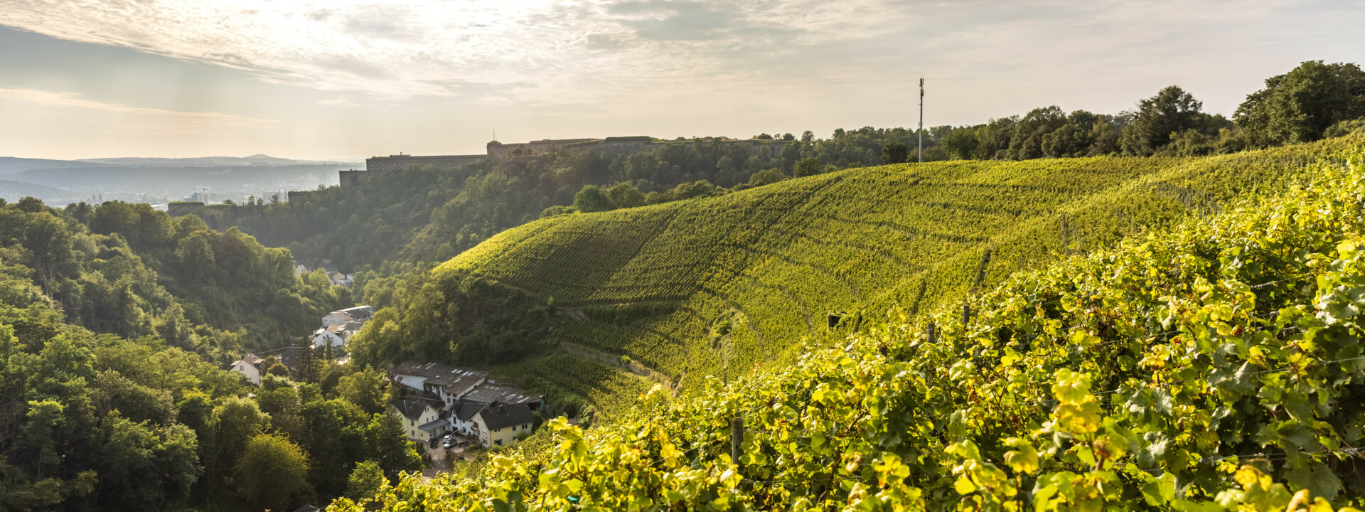 © Rheinland-Pfalz Tourismus GmbH, Dominik Ketz Weinberg hinter Koblenz-Ehrenbreitstein mit Mühlental und Festung Ehrenbreitstein im Hintergrund © Rheinland-Pfalz Tourismus GmbH, Dominik Ketz