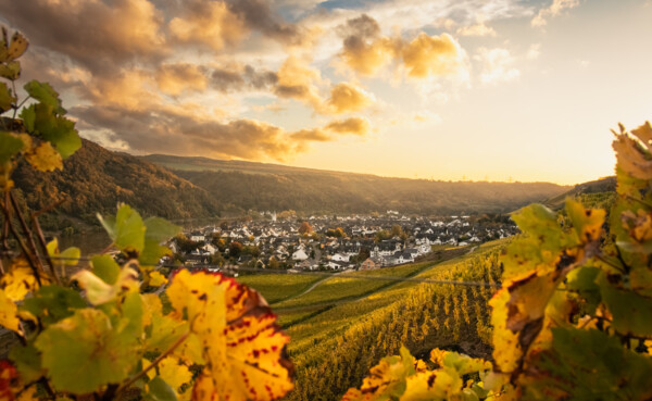 farbenfroher Ausblick auf Winningen © Koblenz-Touristik GmbH Johannes Bruchhof.jpg ©  farbenfroher Ausblick auf Winningen ©