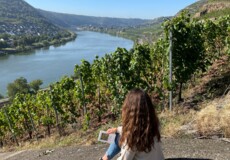 Woman sitting on stone in vineyards near Koblenz-Güls reading book © Koblenz-Touristik