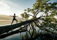 Dame in Kriegerstellung macht Yoga auf einem Baumstamm im Wasser beim Sonnenaufgang bei Maria Laach © Koblenz-Touristik GmbH, Philip Bruederle Dame in Kriegerstellung macht Yoga auf einem Baumstamm im Wasser beim Sonnenaufgang bei Maria Laach © Koblenz-Touristik GmbH, Philip Bruederle