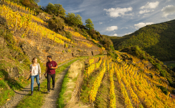 Wandern und Weingenuss mit Freunden_Laach_Herbst 2022.jpg © Dominik Ketz Wandern und Weingenuss mit Freunden_Laach_Herbst 2022.jpg © Dominik Ketz