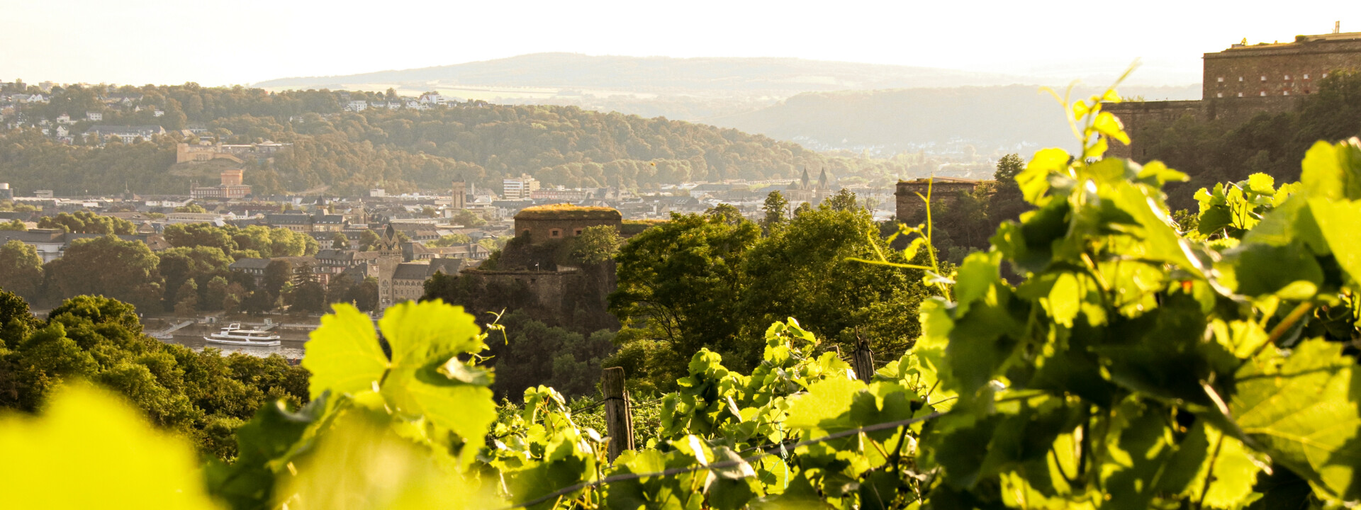 Blick über die Weinberge in Ehrenbreitstein auf die Festung Ehrenbreitstein  © Koblenz-Touristik GmbH 