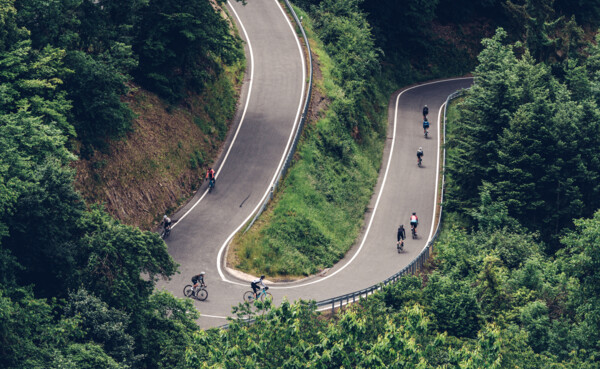 Eine kurvenreiche Asphaltstrecke führt durch den Wald © Gerold Hinzen Eine kurvenreiche Asphaltstrecke führt durch den Wald © Gerold Hinzen