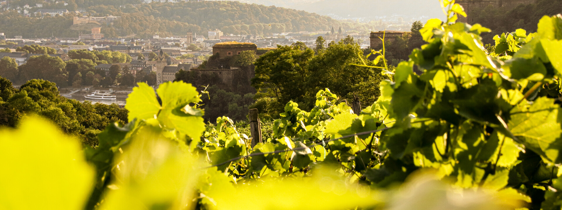 Blick über die Weinberg in Ehrenbreitstein © Koblenz-Touristik GmbH  Blick über die Weinberg in Ehrenbreitstein © Koblenz-Touristik GmbH