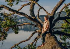 Frau Baum im Wasser Maria Laach © Koblenz-Touristik GmbH, Philip Bruederle Dame von Seite blickt auf den Sonnenaufgang bei Maria Laach mit dem Kloster und See im Hintergrund © Koblenz-Touristik GmbH, Philip Bruederle