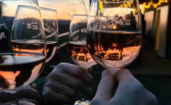 Latscho Bohne aus Koblenz © Christian Hähn Latscho Bohne aus Koblenz © Christian Hähn